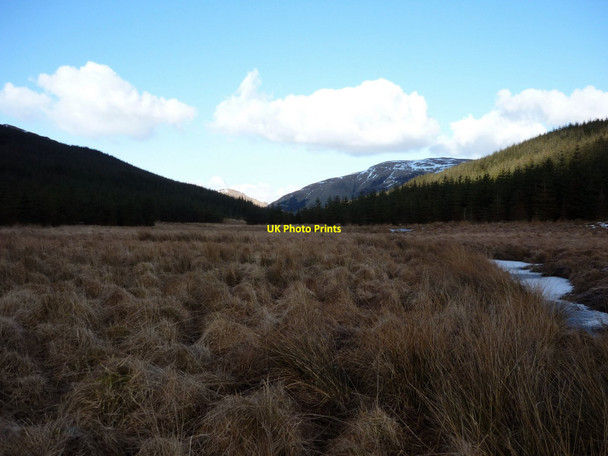 Photo 6"x4" Upper Glen Invernenty Taobh na Coille c2010