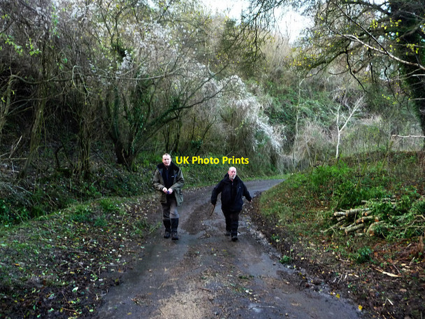 Photo 6"x4" Climbing hill out of Treyford Treyford c2009