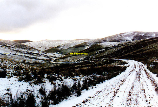 Photo 6"x4" Track and Bridleway to Trows Barrow Burn\/NT8610 c2001