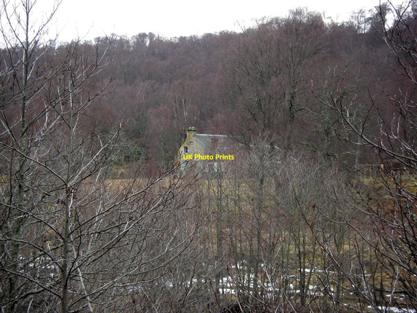 Photo 6"x4" House seen through trees, Glen Tromie Drumguish\/NN7999 c2010