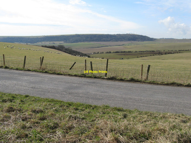 Photo 6"x4" Sheep grazing on hillside over looking Lychpole Bottom Beggars Bush\/TQ1607 c2010