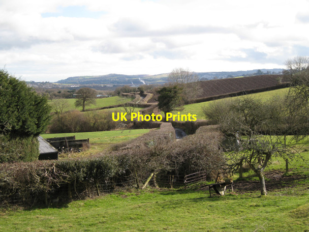Photo 6"x4" Lane to Perry Cross Mile End\/SX8372 c2010