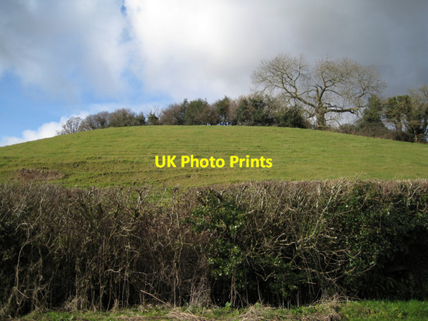 Photo 6"x4" Hill above Ashill Mile End\/SX8372 c2010