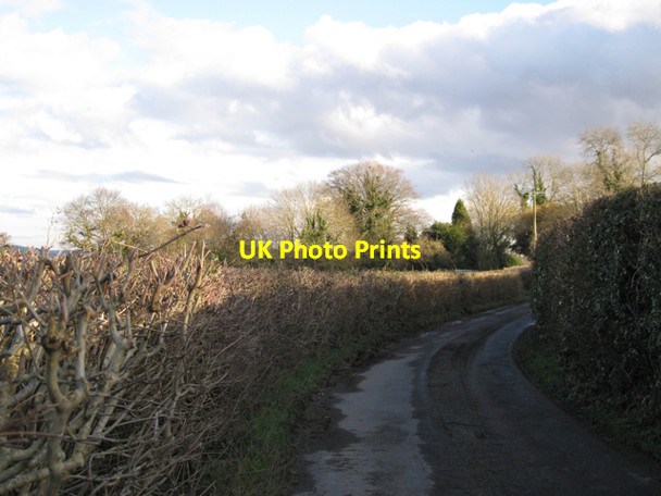 Photo 6"x4" Staplehill Road approaches Ashill Mile End\/SX8372 c2010