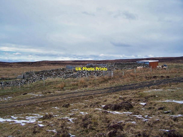 Photo 6"x4" Stone built sheep fank Sgoir Beag c2010