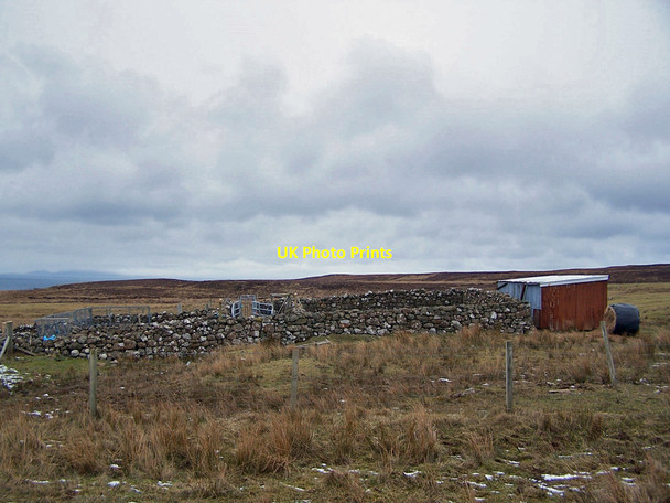 Photo 6"x4" Stone built sheep fank Sgoir Beag c2010 P1