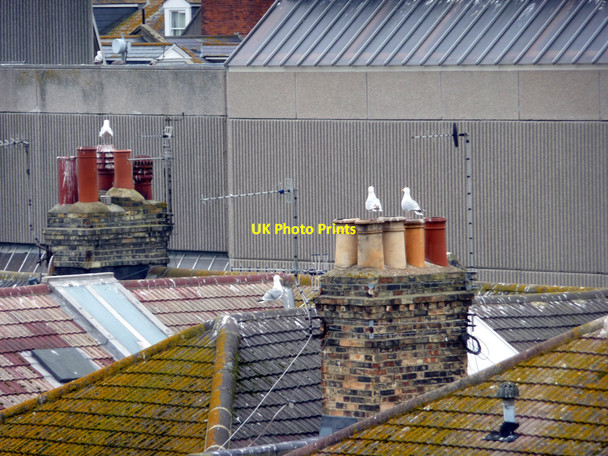 Photo 6"x4" Rooftops of Hove, East Sussex Hove c2009