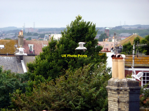 Photo 6"x4" Rooftops of Hove, East Sussex Hove c2009 P2
