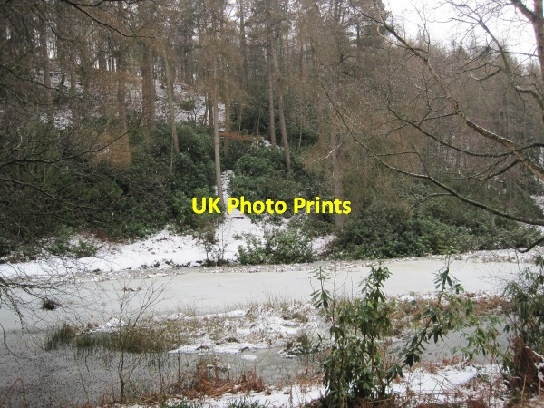 Photo 6"x4" Morralee Tarn, Allen Banks (NT) Ridley\/NY7963 c2010 P1