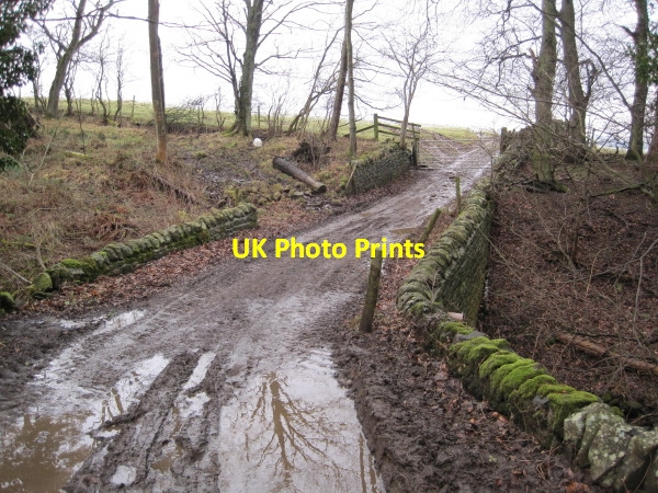 Photo 6"x4" Bridge and Byway over Black Byre Burn Langley\/NY8261 c2010