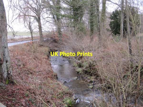 Photo 6"x4" Langley Burn, Langley Langley\/NY8261 c2010