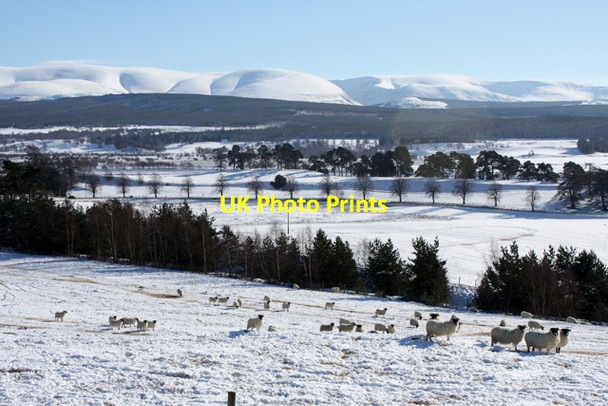 Photo 6"x4" View from Raitts Cave Kingussie c2010