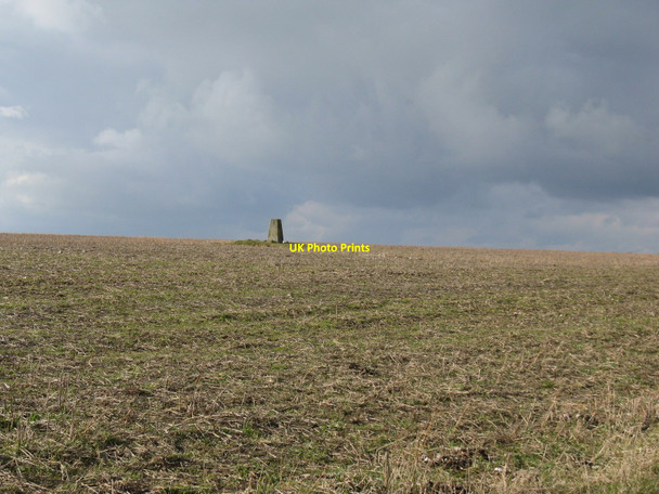 Photo 6"x4" Trig point on Steyning Round Hill Steyning c2010