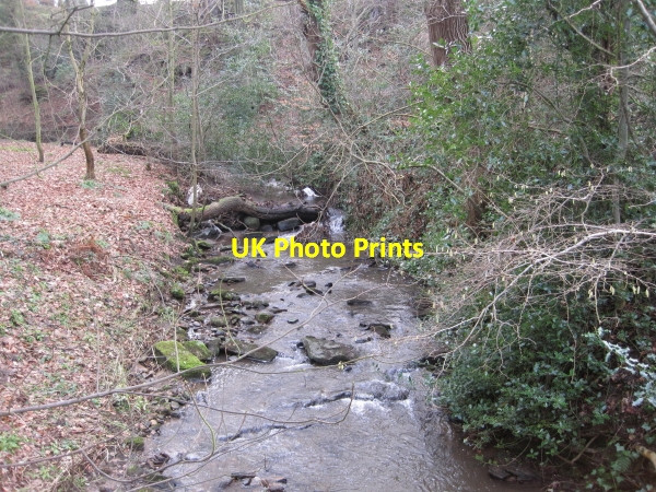 Photo 6"x4" Langley Burn, Haydon Bridge Haydon Bridge c2010 P1