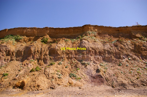 Photo 6"x4" Cliffs at Brook Bay, Isle of Wight Brookgreen c2009