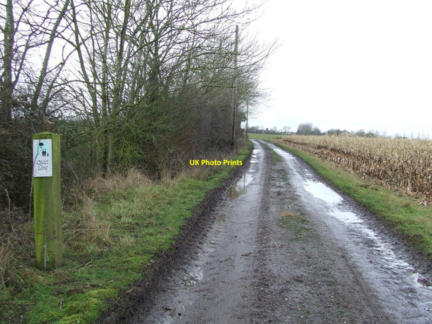 Photo 6"x4" Quiet Lane Boyland Common c2010