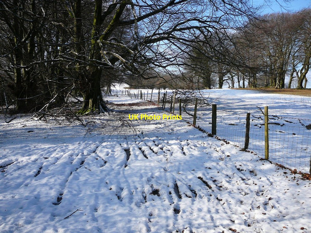 Photo 6"x4" On the Rhymney Valley Ridgeway Footpath southwest of Rudry. Rudry c2010