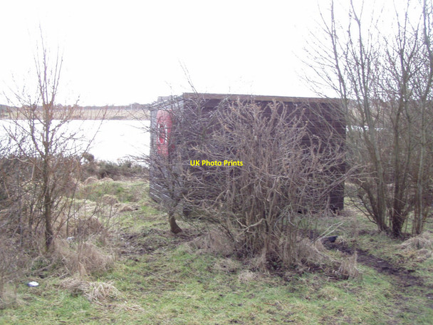 Photo 6"x4" Another hide Charlestown\/NJ9300 c2010