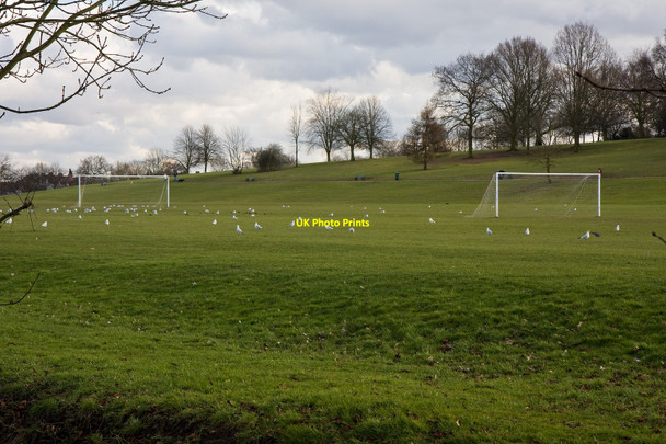 Photo 6"x4" Oak Hill Park East Barnet c2010