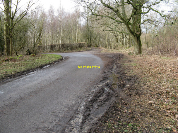 Photo 6"x4" Bend in New road Upperton Upperton\/SU9522 c2010