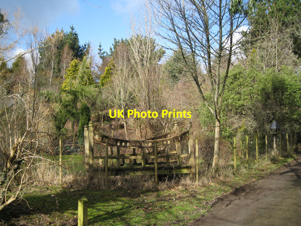 Photo 6"x4" Private grounds by Howton Road Newton Abbot c2010