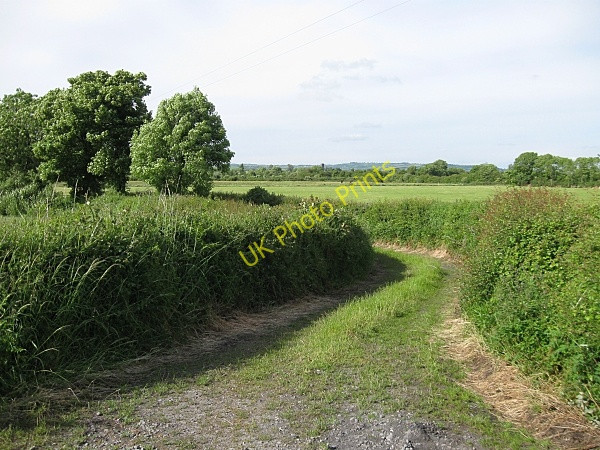 Photo 6"x4" Country Laneway Bennettsbridge c2009