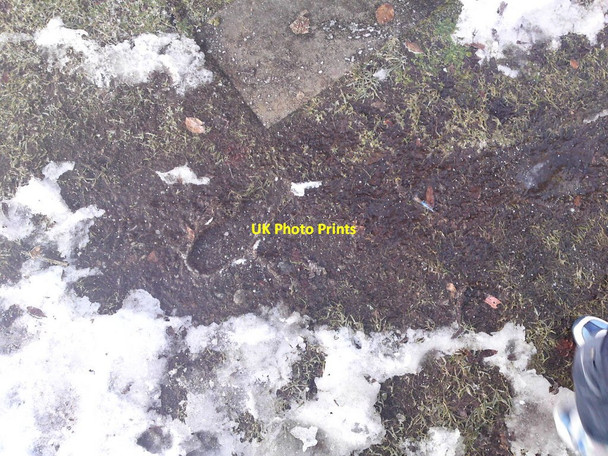 Photo 6"x4" Frozen footprint Lochardil c2010