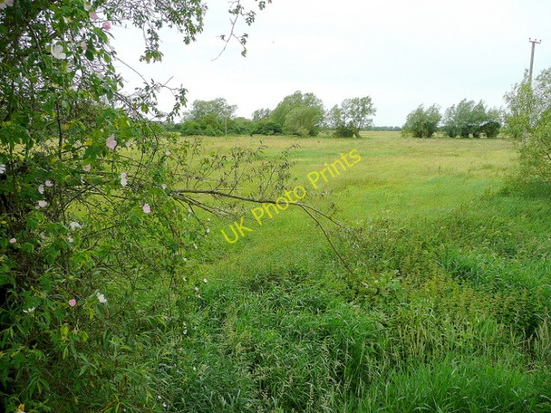 Photo 6"x4" Meadows west of the High Bridge, Cricklade Cricklade c2009