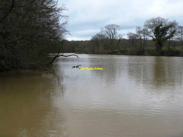 Photo 6"x4" Lake next to River Park Farm White's Green c2010