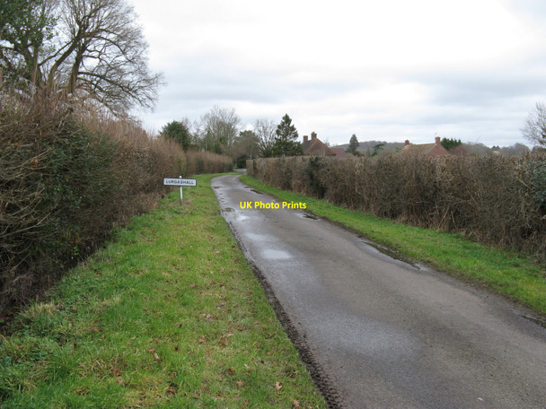 Photo 6"x4" Approach to Lurgashall Lurgashall c2010