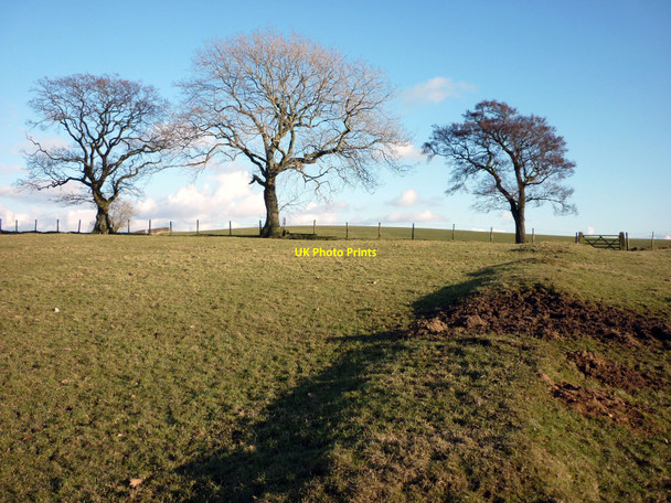 Photo 6"x4" The footpath to Tatham Melling\/SD5971 c2010