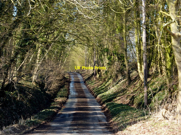 Photo 6"x4" Lane to Barking Church Barking\/TM0753 c2010
