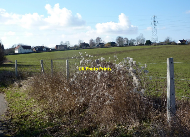 Photo 6"x4" Field at Barking Barking\/TM0753 c2010