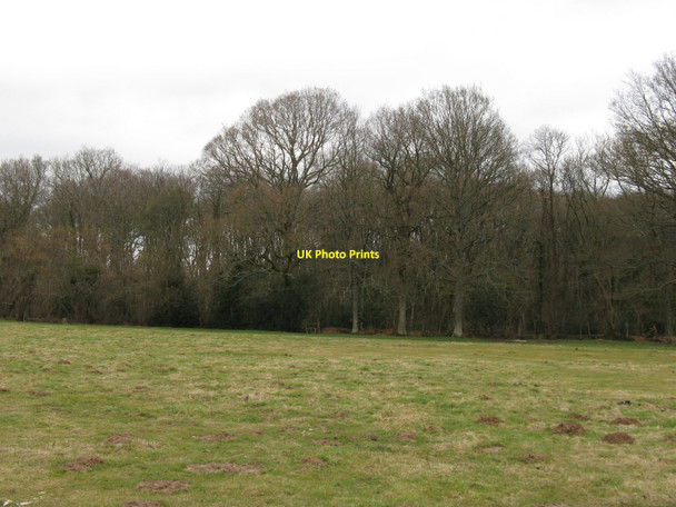 Photo 6"x4" Upper Barn Hanger north of Lurgashall Lurgashall c2010