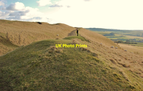 Photo 6"x4" Eggardon Hill: Westerly end looking south Spyway c2009