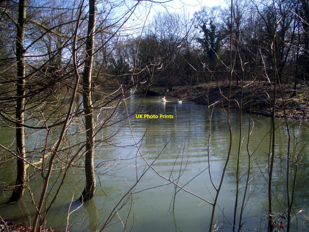 Photo 6"x4" Newells Pond Brookhampton\/SU6098 c2010
