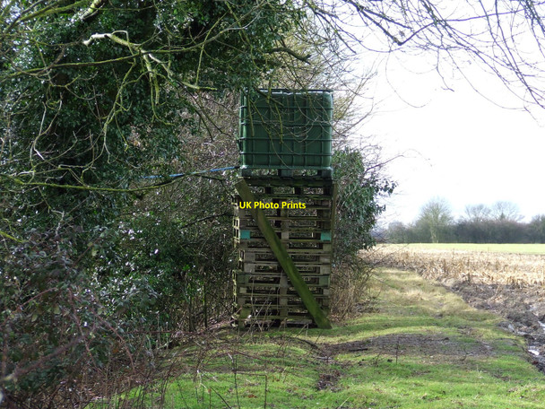Photo 6"x4" Water Tower Diss c2010