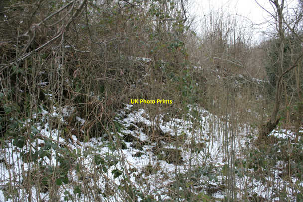 Photo 6"x4" Summerley beehive coke ovens Dronfield c2010