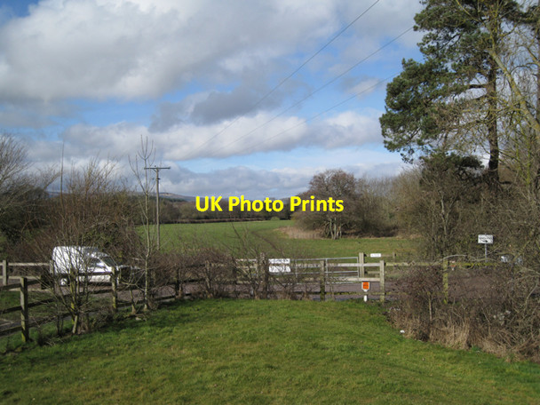 Photo 6"x4" Footpath upstream from Teign Bridge Newton Abbot c2010