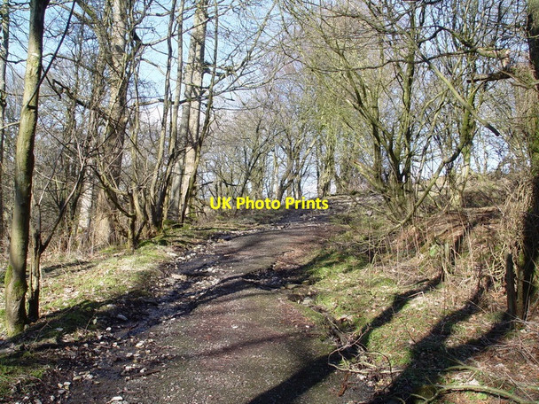 Photo 6"x4" Old Road To Greystonely Fair Oak\/SD6446 c2010