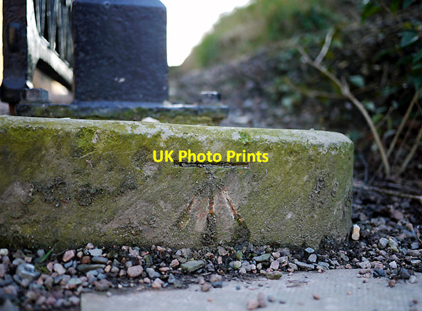 Photo 6"x4" Bench Mark, Belfast Belfast c2010