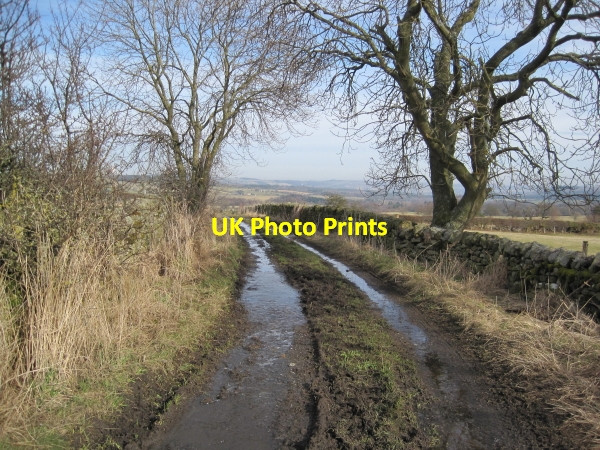 Photo 6"x4" Byway leading from Dotland Diptonmill c2010