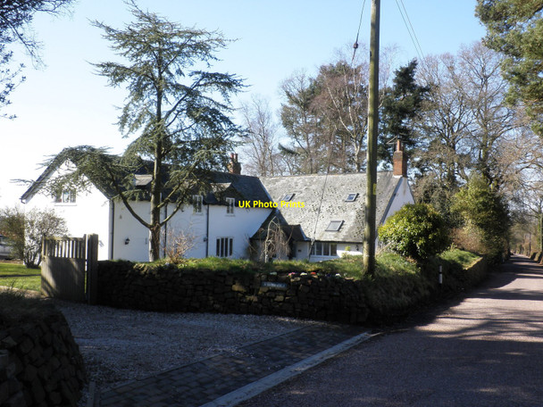 Photo 6"x4" Ashbridge, near West Hill Allercombe c2010