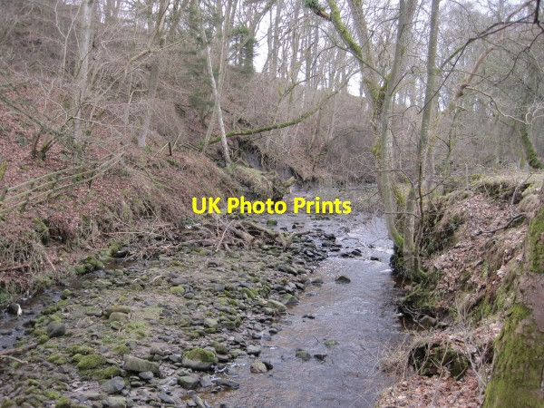 Photo 6"x4" The Ham Burn near Whitley Mill Dalton\/NY9158 c2010