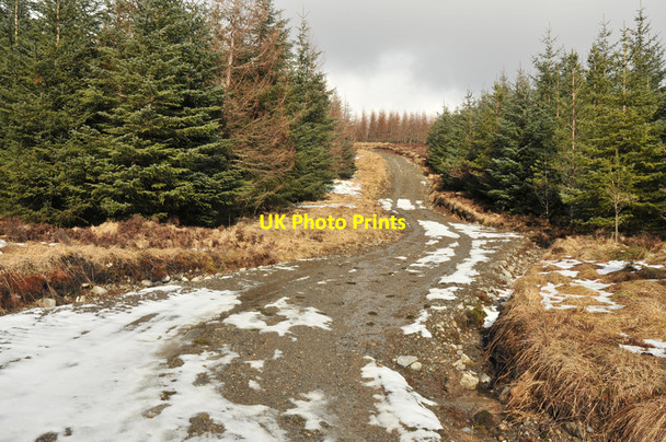 Photo 6"x4" New track near Loch Crann Abhainn Dubh\/NH0757 c2010