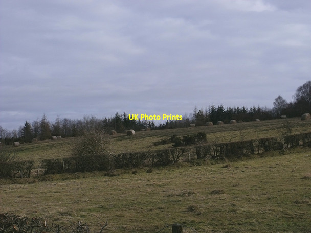 Photo 6"x4" Uncollected Hay, Wester Blairlinn Cumbernauld c2010