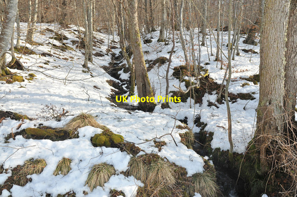 Photo 6"x4" Small stream near Rebeg Farm Newtonhill\/NH5743 c2010
