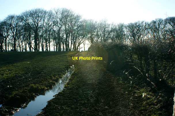 Photo 6"x4" A muddy path towards Promised Land Farm Billinge c2010