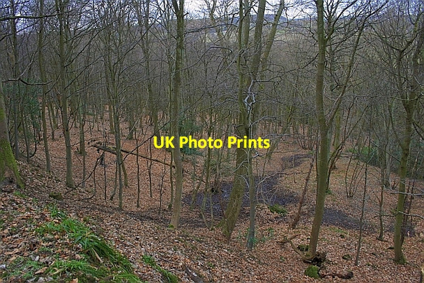 Photo 6"x4" Cock Hollow Throxenby c2010