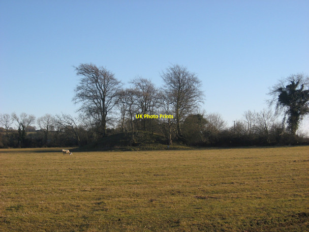 Photo 6"x4" Tumulus at Micknanstown, Co. Meath Clonalvy c2010